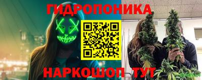 ПСИЛОЦИБИНОВЫЕ ГРИБЫ Кулебаки