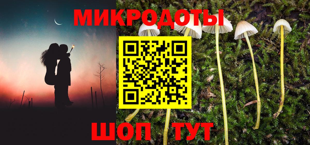 Галлюциногенные грибы Magic Shrooms Чехов