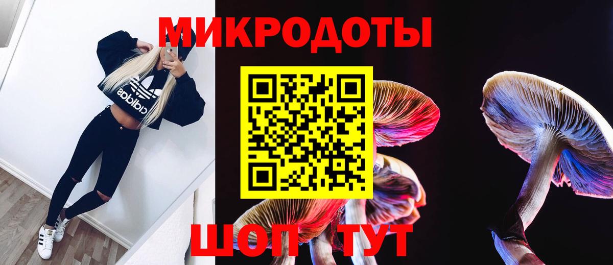 Галлюциногенные грибы Cubensis  Вход с VPN  Галлюциногенные грибы Psilocybine cubensis  Чехов 